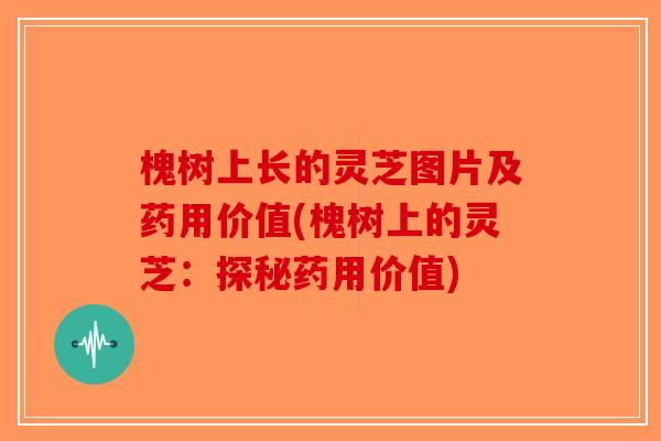 槐树上长的灵芝图片及药用价值(槐树上的灵芝：探秘药用价值)