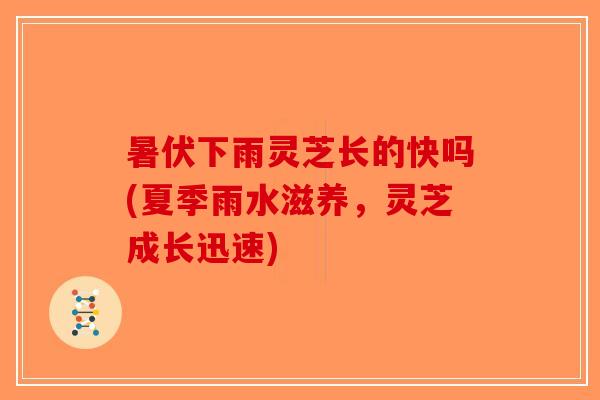 暑伏下雨灵芝长的快吗(夏季雨水滋养，灵芝成长迅速)