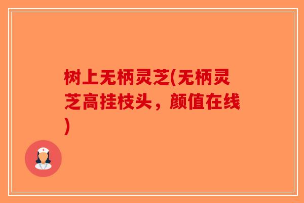 树上无柄灵芝(无柄灵芝高挂枝头，颜值在线)