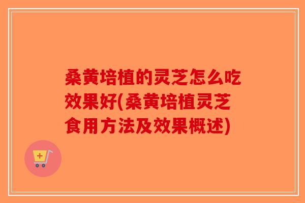 桑黄培植的灵芝怎么吃效果好(桑黄培植灵芝食用方法及效果概述)