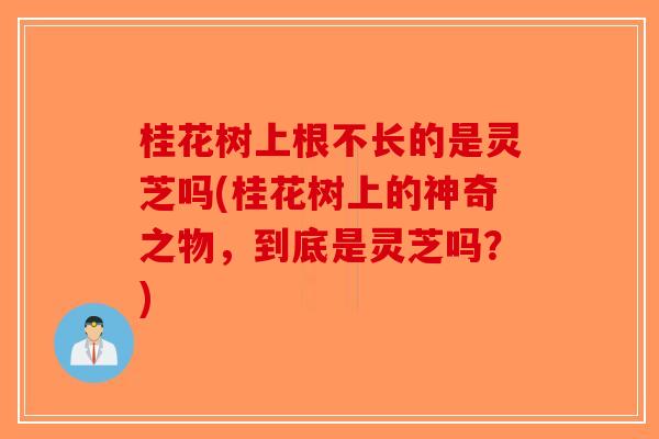 桂花树上根不长的是灵芝吗(桂花树上的神奇之物，到底是灵芝吗？)