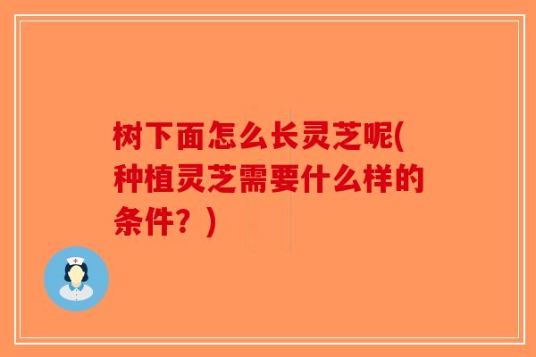 树下面怎么长灵芝呢(种植灵芝需要什么样的条件？)