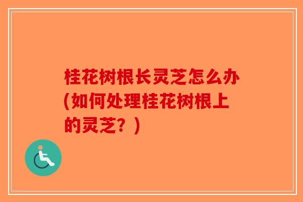 桂花树根长灵芝怎么办(如何处理桂花树根上的灵芝？)