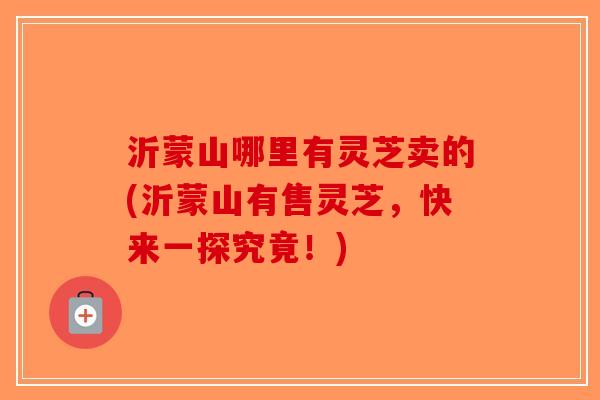 沂蒙山哪里有灵芝卖的(沂蒙山有售灵芝，快来一探究竟！)