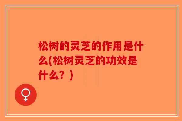 松树的灵芝的作用是什么(松树灵芝的功效是什么？)