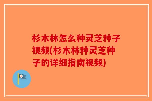 杉木林怎么种灵芝种子视频(杉木林种灵芝种子的详细指南视频)