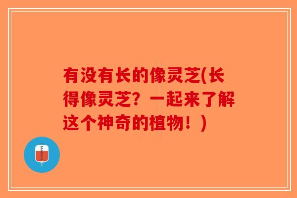 有没有长的像灵芝(长得像灵芝？一起来了解这个神奇的植物！)