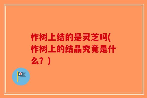 柞树上结的是灵芝吗(柞树上的结晶究竟是什么？)