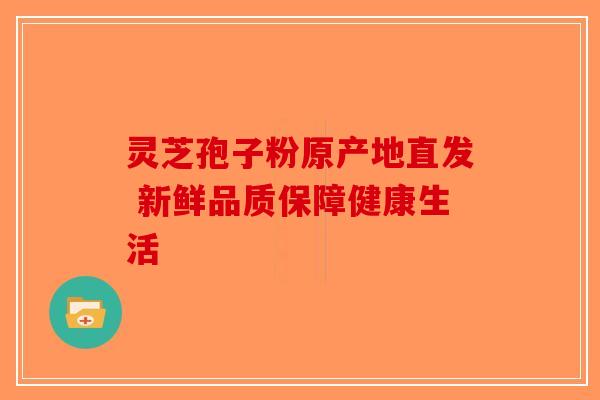 灵芝孢子粉原产地直发 新鲜品质保障健康生活