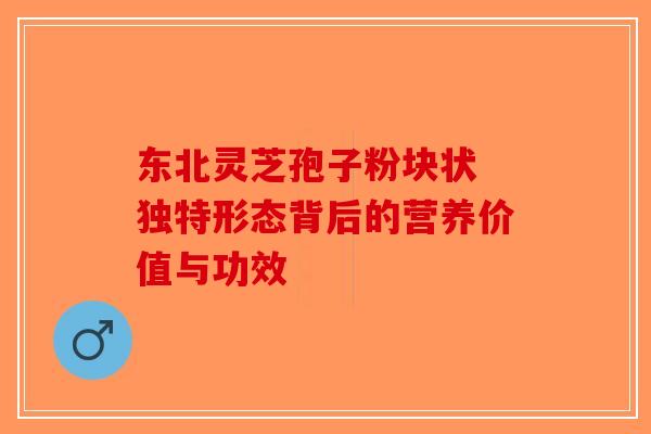 东北灵芝孢子粉块状 独特形态背后的营养价值与功效