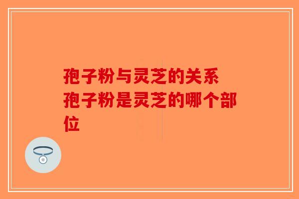 孢子粉与灵芝的关系 孢子粉是灵芝的哪个部位