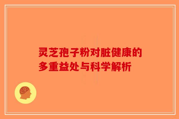 灵芝孢子粉对脏健康的多重益处与科学解析
