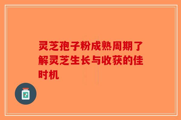 灵芝孢子粉成熟周期了解灵芝生长与收获的佳时机