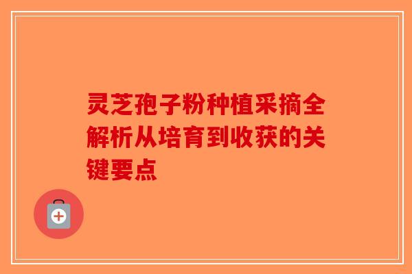 灵芝孢子粉种植采摘全解析从培育到收获的关键要点