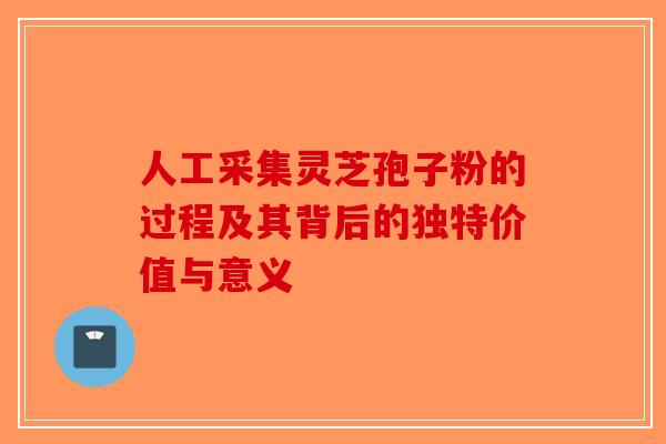 人工采集灵芝孢子粉的过程及其背后的独特价值与意义