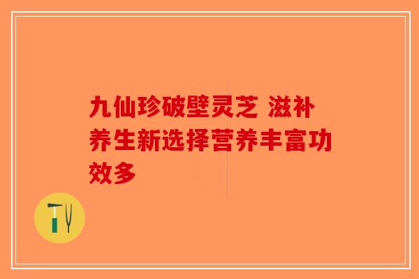 九仙珍破壁灵芝 滋补养生新选择营养丰富功效多
