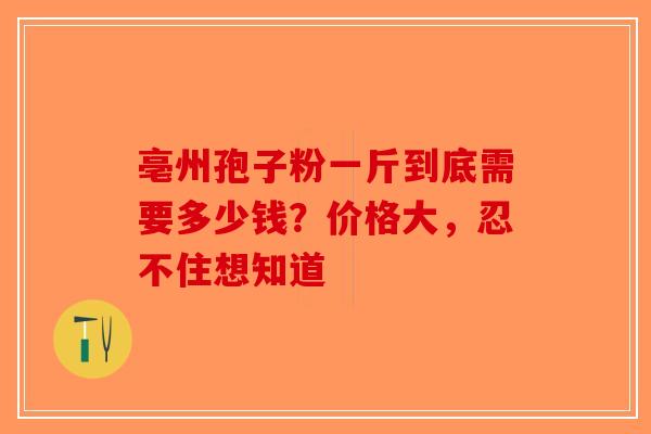 亳州孢子粉一斤到底需要多少钱？价格大，忍不住想知道