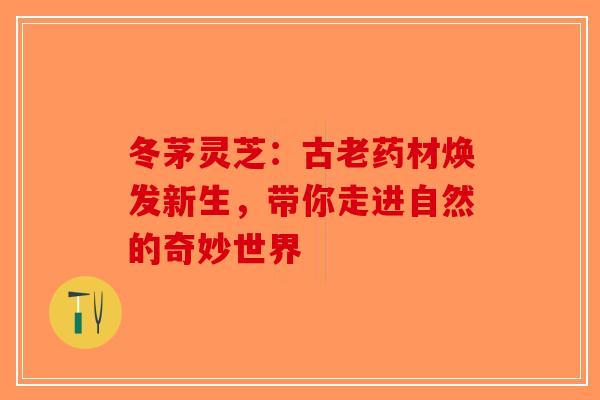 冬茅灵芝：古老药材焕发新生，带你走进自然的奇妙世界