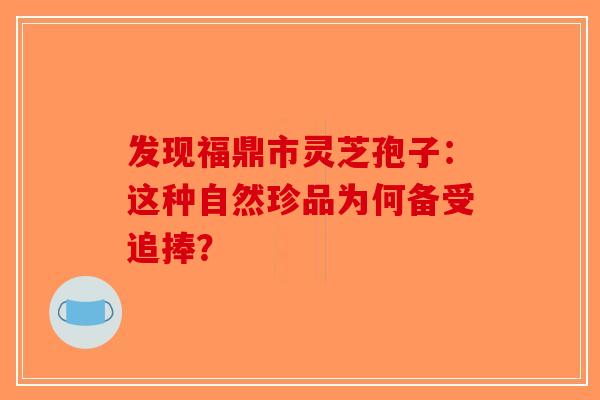 发现福鼎市灵芝孢子：这种自然珍品为何备受追捧？