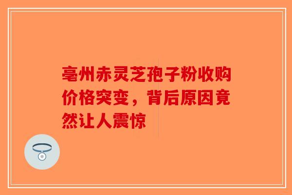 亳州赤灵芝孢子粉收购价格突变，背后原因竟然让人震惊