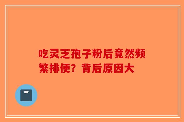 吃灵芝孢子粉后竟然频繁排便？背后原因大