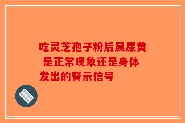 吃灵芝孢子粉后晨尿黄 是正常现象还是身体发出的警示信号