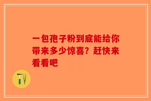 一包孢子粉到底能给你带来多少惊喜？赶快来看看吧