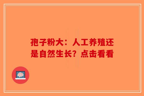 孢子粉大：人工养殖还是自然生长？点击看看