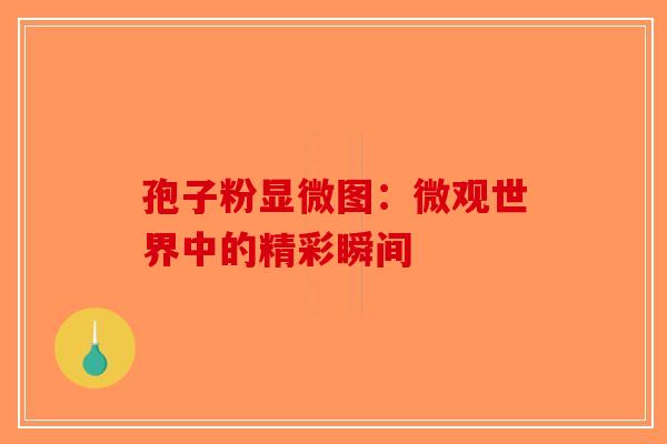 孢子粉显微图：微观世界中的精彩瞬间