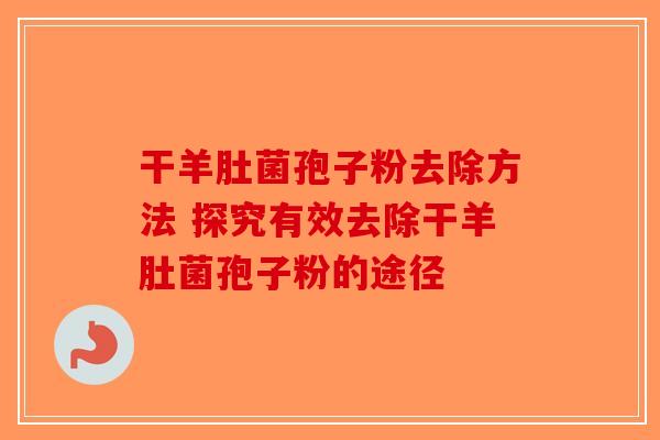 干羊肚菌孢子粉去除方法 探究有效去除干羊肚菌孢子粉的途径