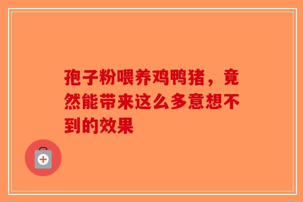 孢子粉喂养鸡鸭猪，竟然能带来这么多意想不到的效果