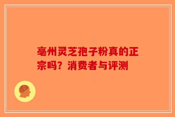 亳州灵芝孢子粉真的正宗吗？消费者与评测