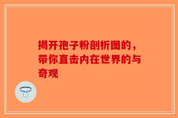 揭开孢子粉剖析图的，带你直击内在世界的与奇观