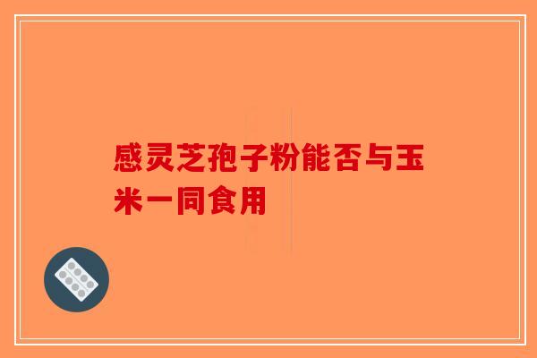 感灵芝孢子粉能否与玉米一同食用