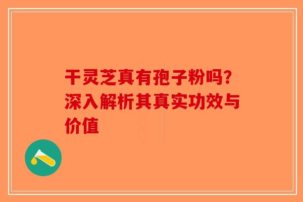 干灵芝真有孢子粉吗？深入解析其真实功效与价值