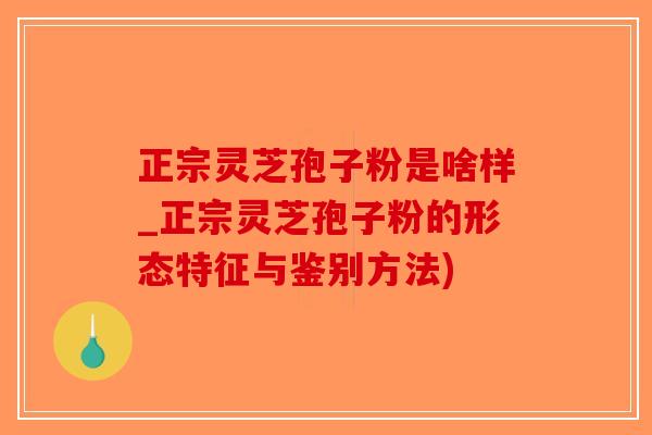 正宗灵芝孢子粉是啥样_正宗灵芝孢子粉的形态特征与鉴别方法)