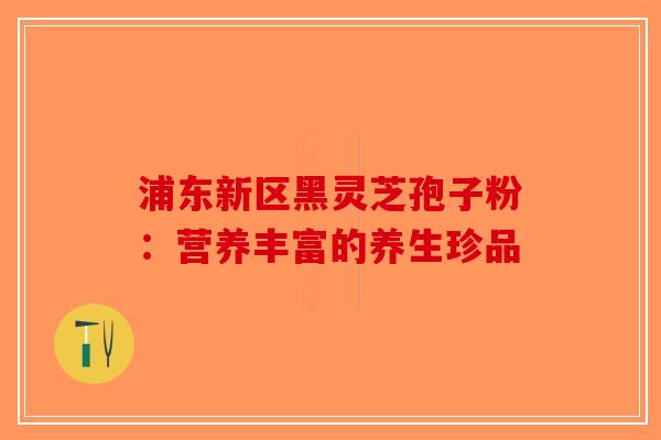 浦东新区黑灵芝孢子粉：营养丰富的养生珍品