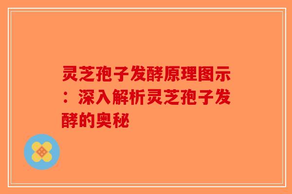 灵芝孢子发酵原理图示：深入解析灵芝孢子发酵的奥秘