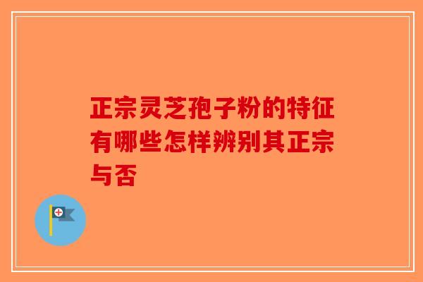 正宗灵芝孢子粉的特征有哪些怎样辨别其正宗与否