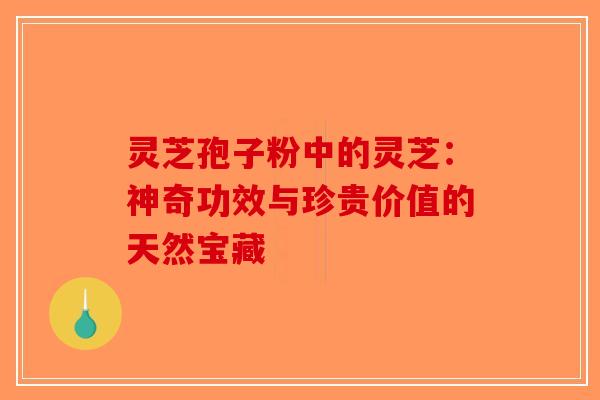 灵芝孢子粉中的灵芝：神奇功效与珍贵价值的天然宝藏