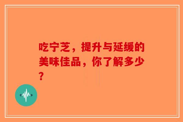吃宁芝，提升与延缓的美味佳品，你了解多少？